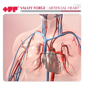 Artificial Heart