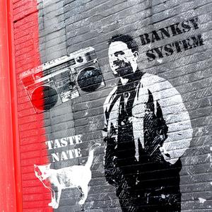 BANKSY SYSTEM (Explicit)