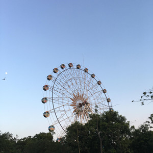 告白气球（翻唱）