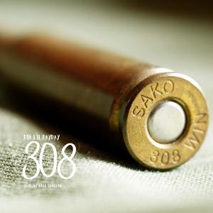 308 (Explicit)