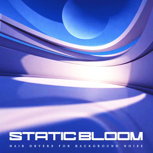 Large Hairdryer Noise