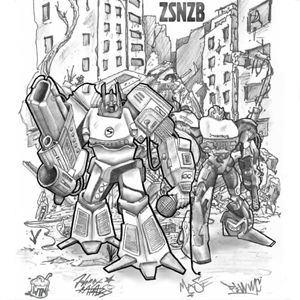 Z.S.N.Z.B.