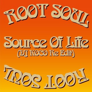 Source Of Life (DJ KOCO Re Edit)
