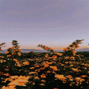 portugal 25'