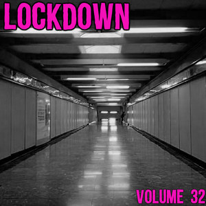 Lock Down Vol. 32