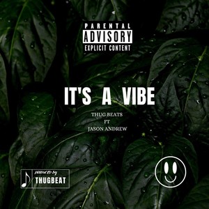 IT'S A VIBE (feat. Jason Andrew) [Explicit]