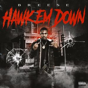 Breese Hawk Em Down (Explicit)