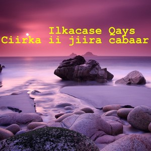 Ciirka ii jiira cabaar