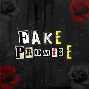 Fake Promise
