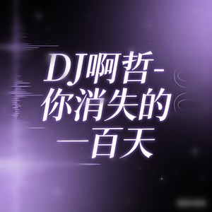 雅俗共赏 (DJ氛围版)封面