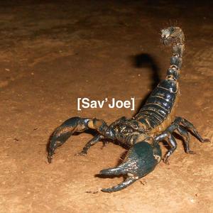 Fox (feat. Benjamin Major & Zenotic) (Explicit)