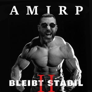 Bleibt stabil Vol. II (Explicit)