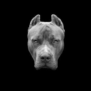 Big Dog (Explicit)