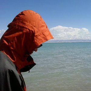 天使不过是一只傻鸟