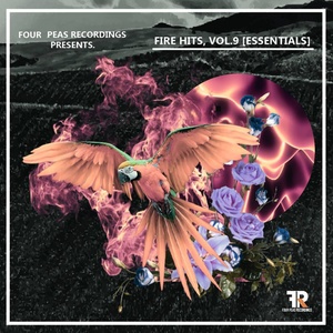 Fire Hits, Vol. 9 (Essentials)