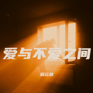 爱与不爱之间封面