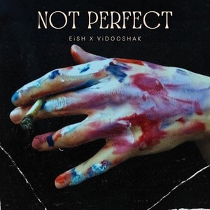 Not Perfect (feat. ViDOOSHAK)