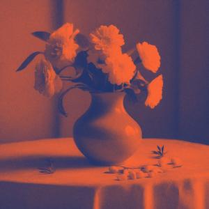 Adore it (rough draft)