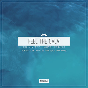Feel the Calm (Priya Sen & Aman Anand Remix)