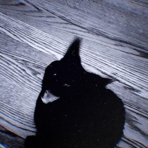 Same Thing (Explicit)