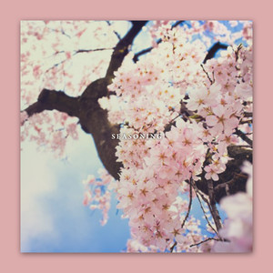 봄이 오는 설렘