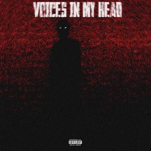 Voices In My Head (Explicit)