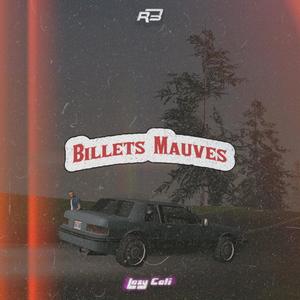 Billets mauves (feat. RB Officiel) [Explicit]