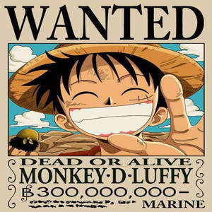 MONKEY•D•LUFFY