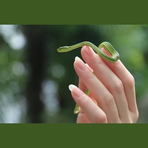 掐死你的温柔