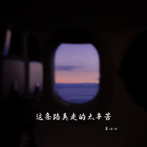 这条路真走的太辛苦