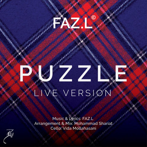 Puzzle (Live)