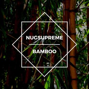 Bamboo