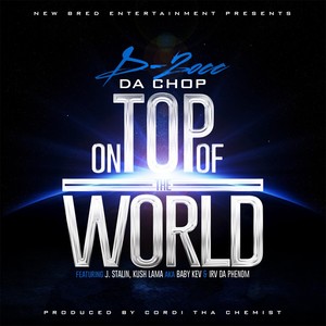 On Top of the World (feat. Kush Baby Kev Lamma, Irv da Phenom & J-Stalin)