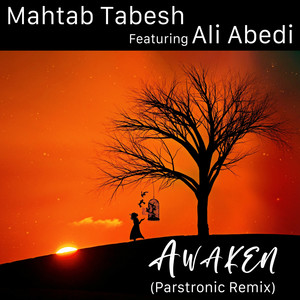 Awaken (Parstronic Remix)