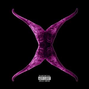 X (Explicit)