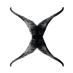 X (Explicit)