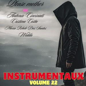 instrumentaux, Vol. 22