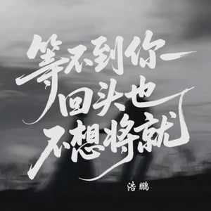 爱不回头封面