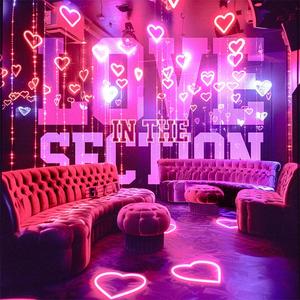 Love In The Section (Explicit)