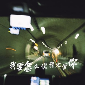 我要怎么说我不爱你 (律动版)