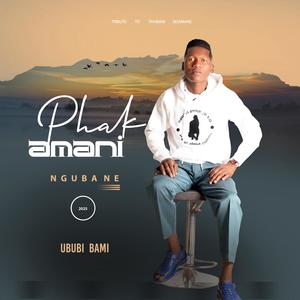 NGIYASHINGA (feat. UMAGUMEDE WENU)