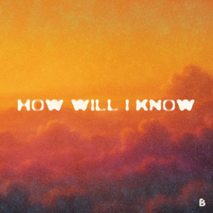 How Will I Know (feat. Naelii)