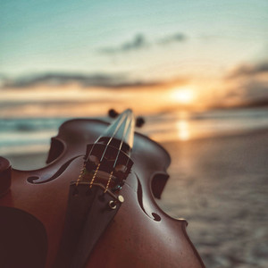 Say You Won't Let Go