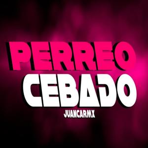 PERREO CEBADO