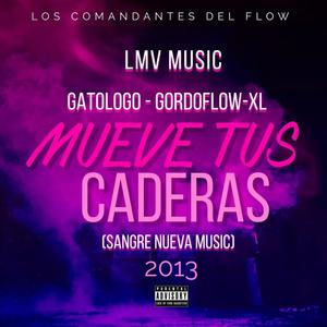 MUEVE TUS CADERAS 2013 (feat. GATOLOGO, XL & GORDOFLOW) [Explicit]