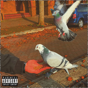 Birds (Explicit)