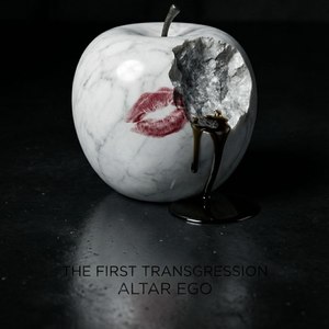 THE FIRST TRANSGRESSION