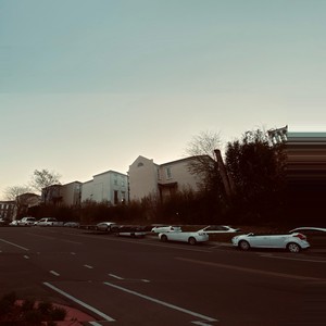 Out the kennel/Free Rose (Explicit)