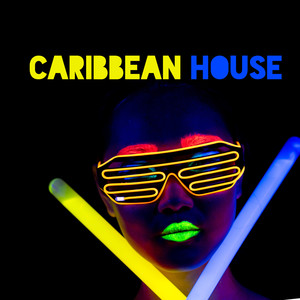 Caribbean House: Best Exotic Beats for Summer Holidays 2020