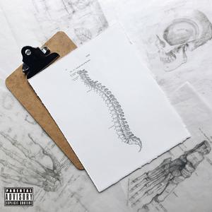 Anatomy (Explicit)